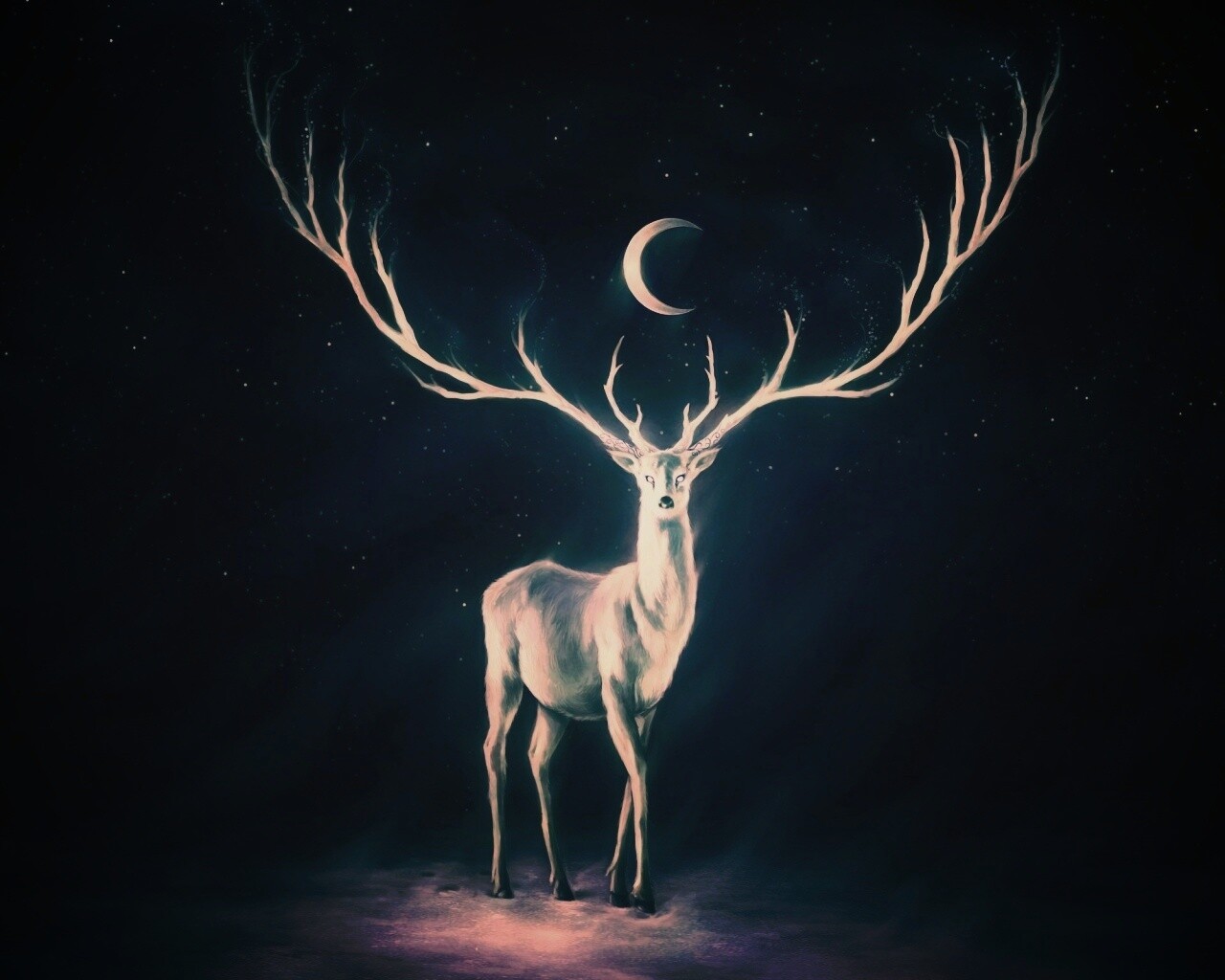Олень в лунном свете обои