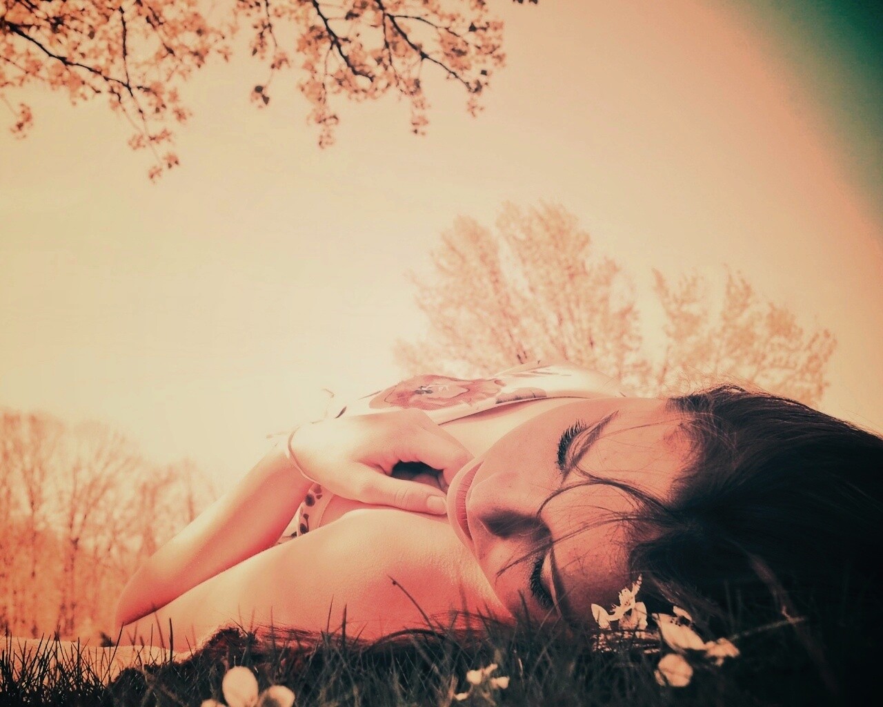 На природе обои