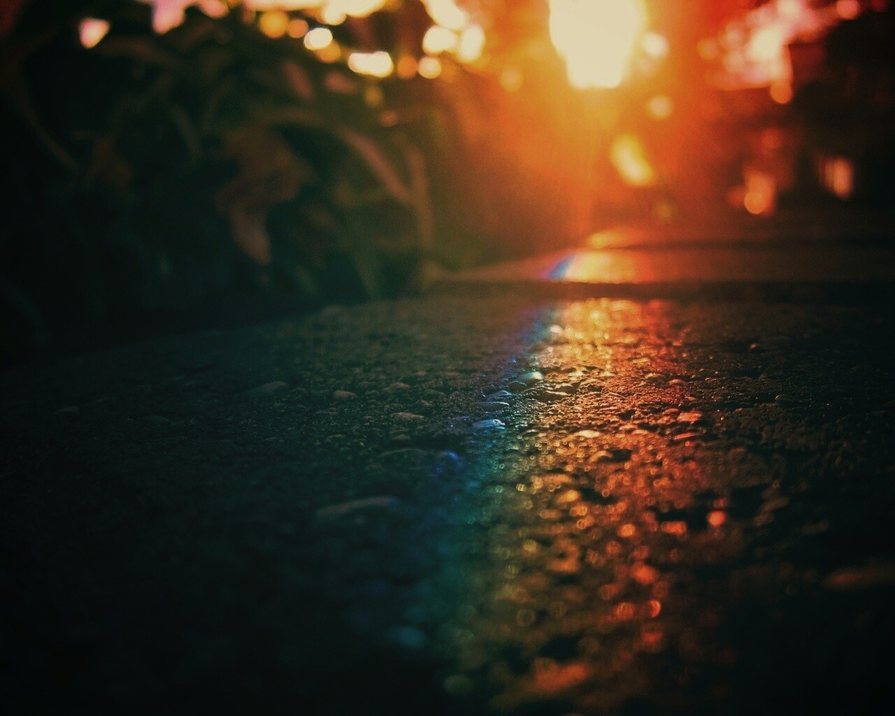 Макро радуга на камне обои