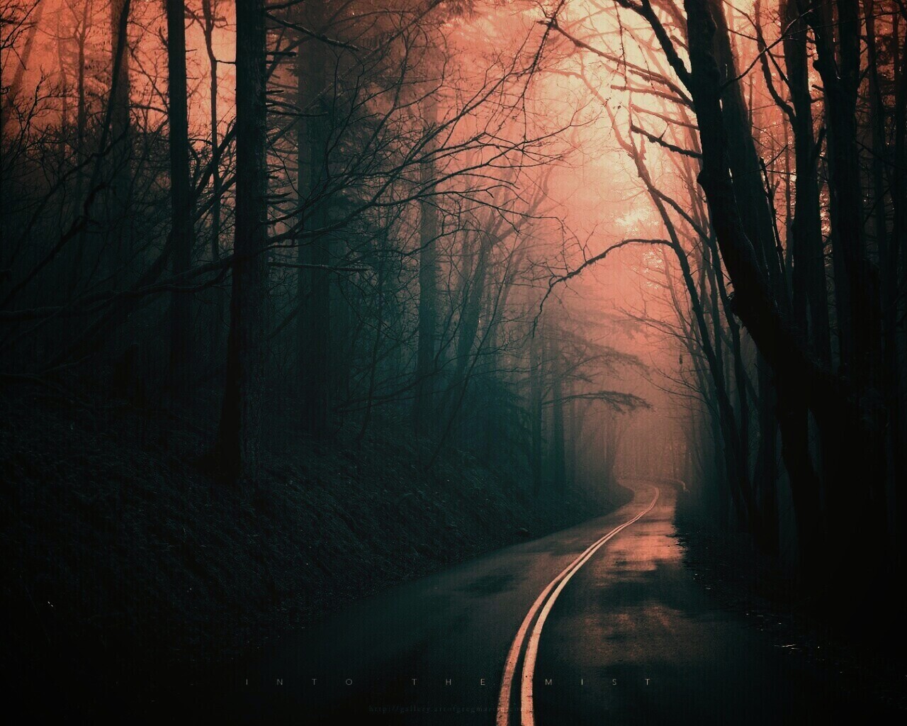 В туман обои