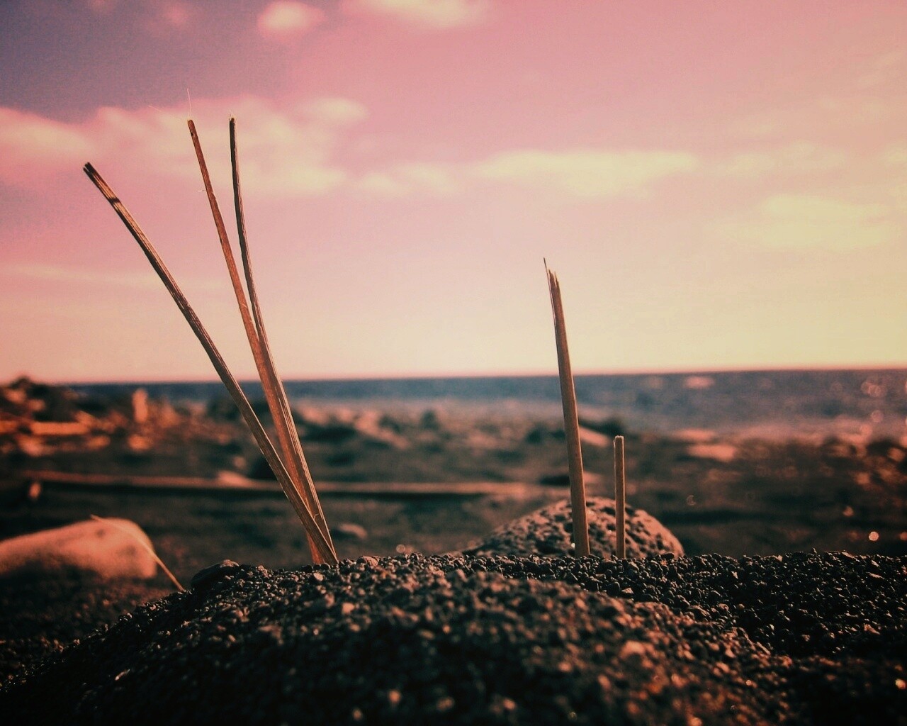 Солома на океанском берегу обои