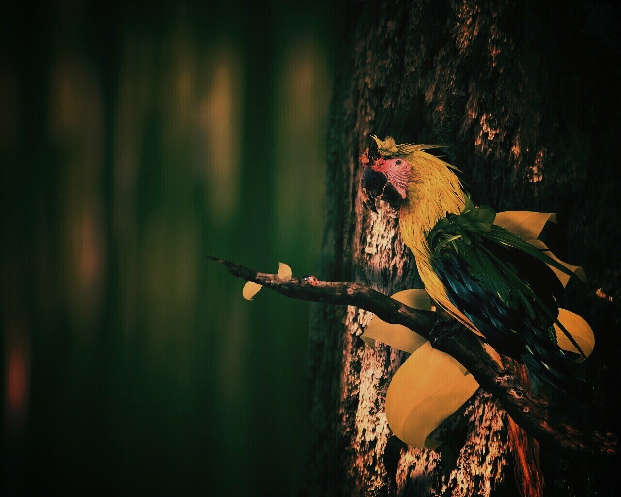 Попугай обои