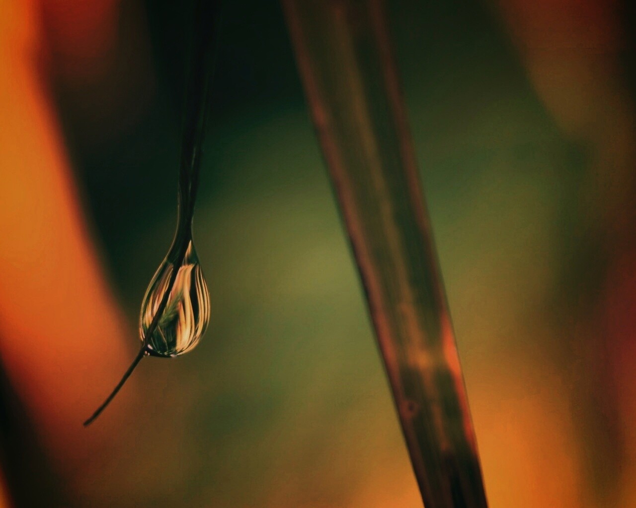 Стекающая капля обои