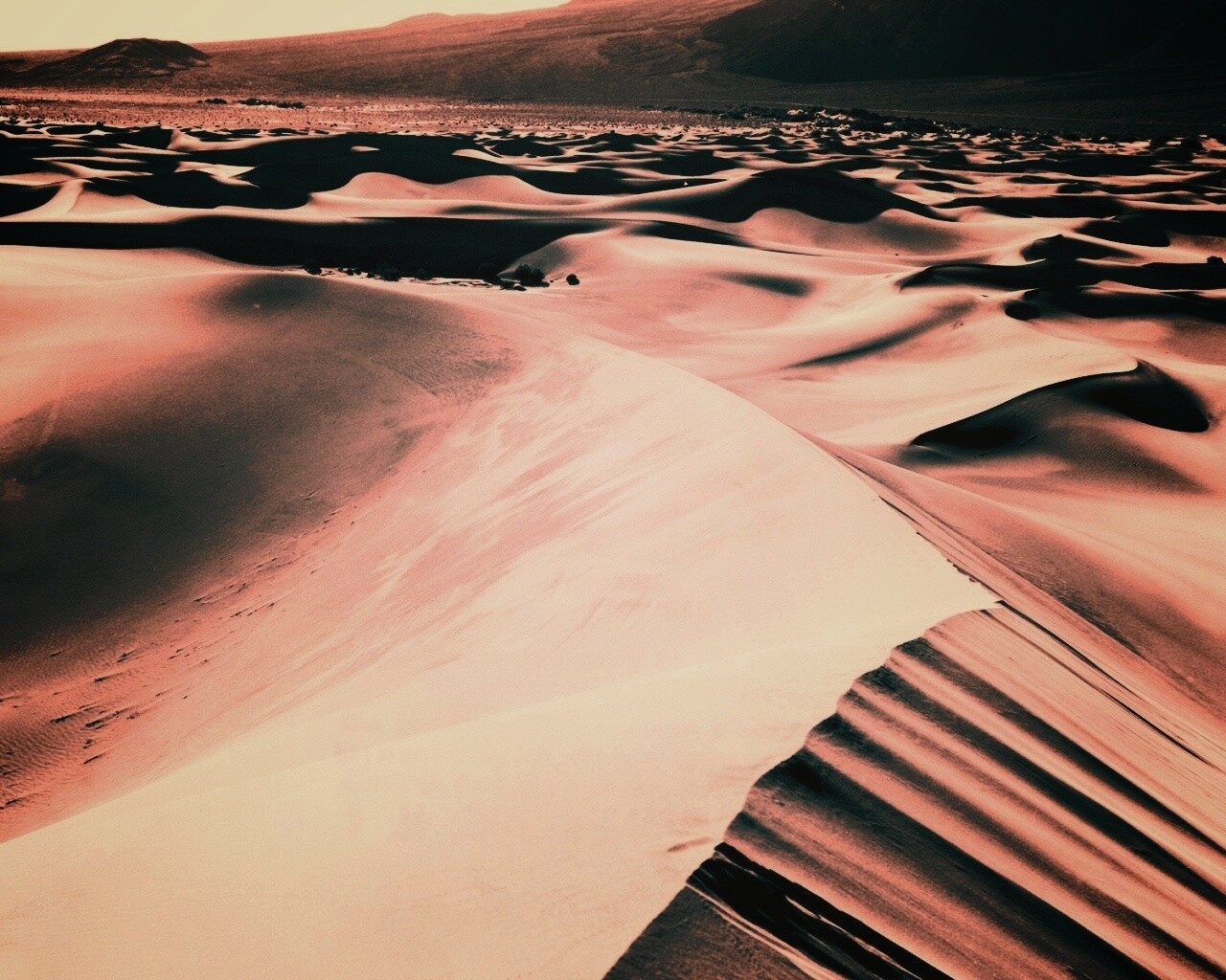 Барханы обои