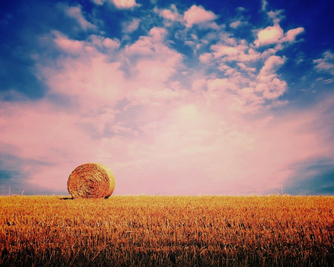 СОломеннынй рулон обои