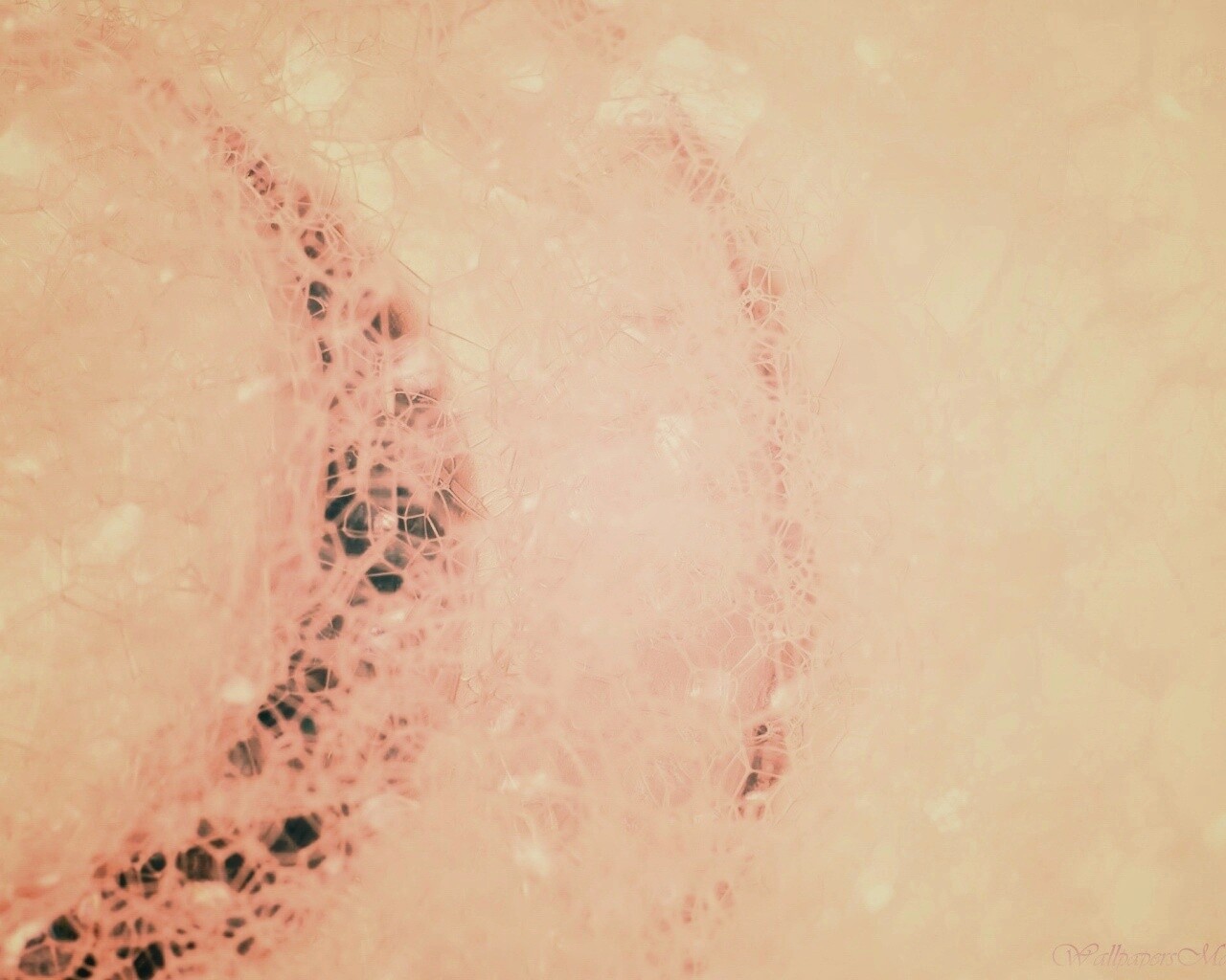 Мыльная пена обои