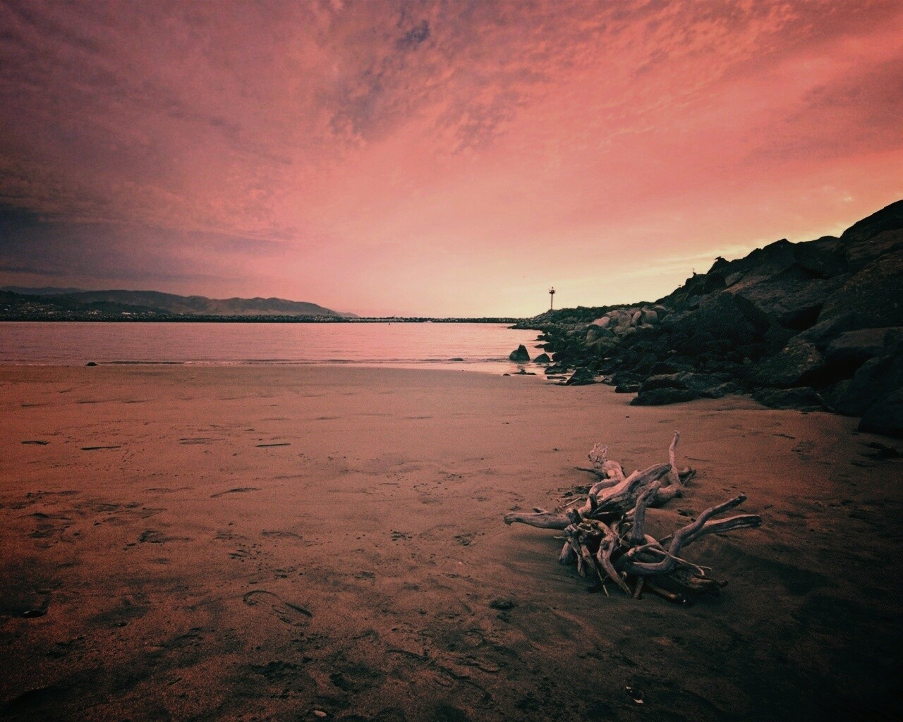 Коряга не берегу обои