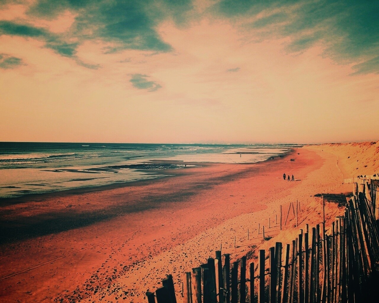 Обмелевший берег обои