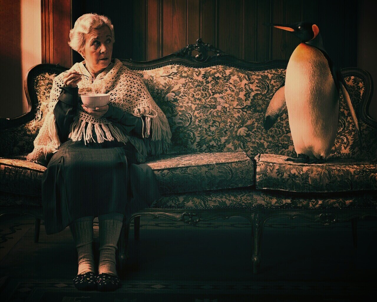 Соседи по дивану обои