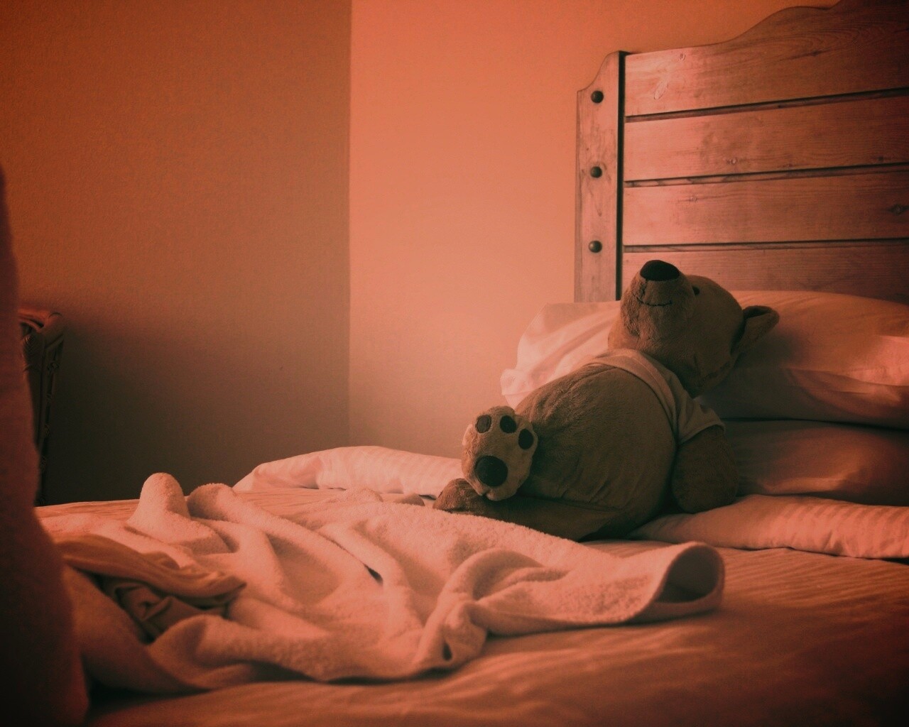 Медвежонок в постели обои