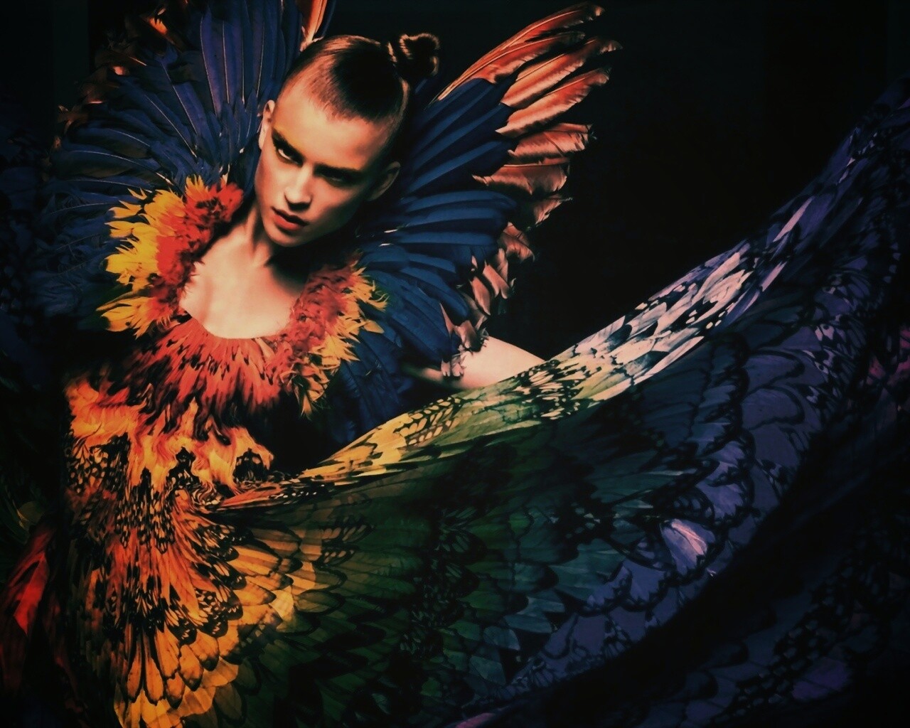 Костюм жар птицы обои