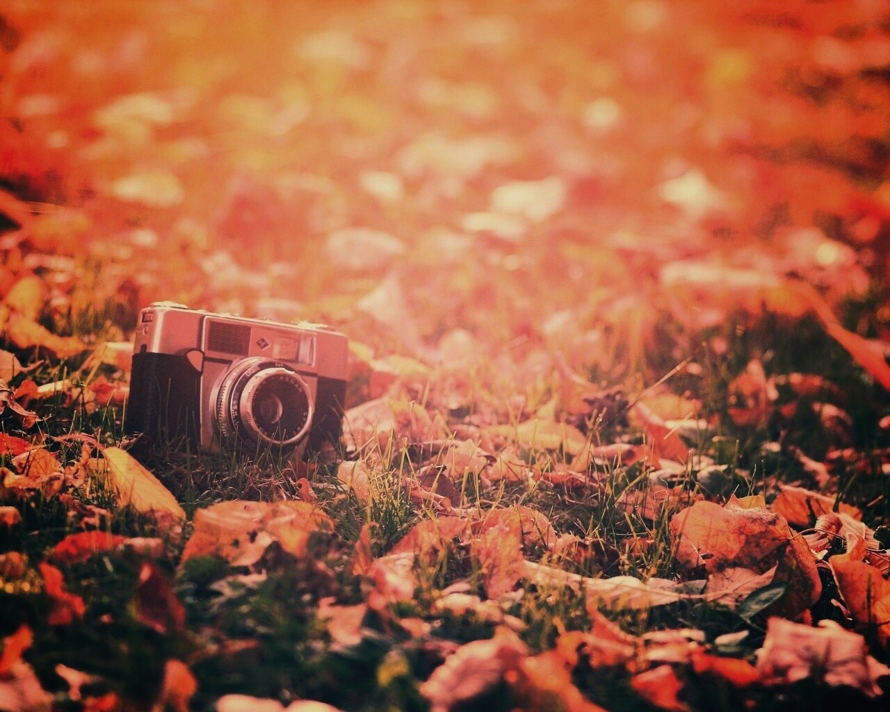 Старый фотоаппарат в траве обои