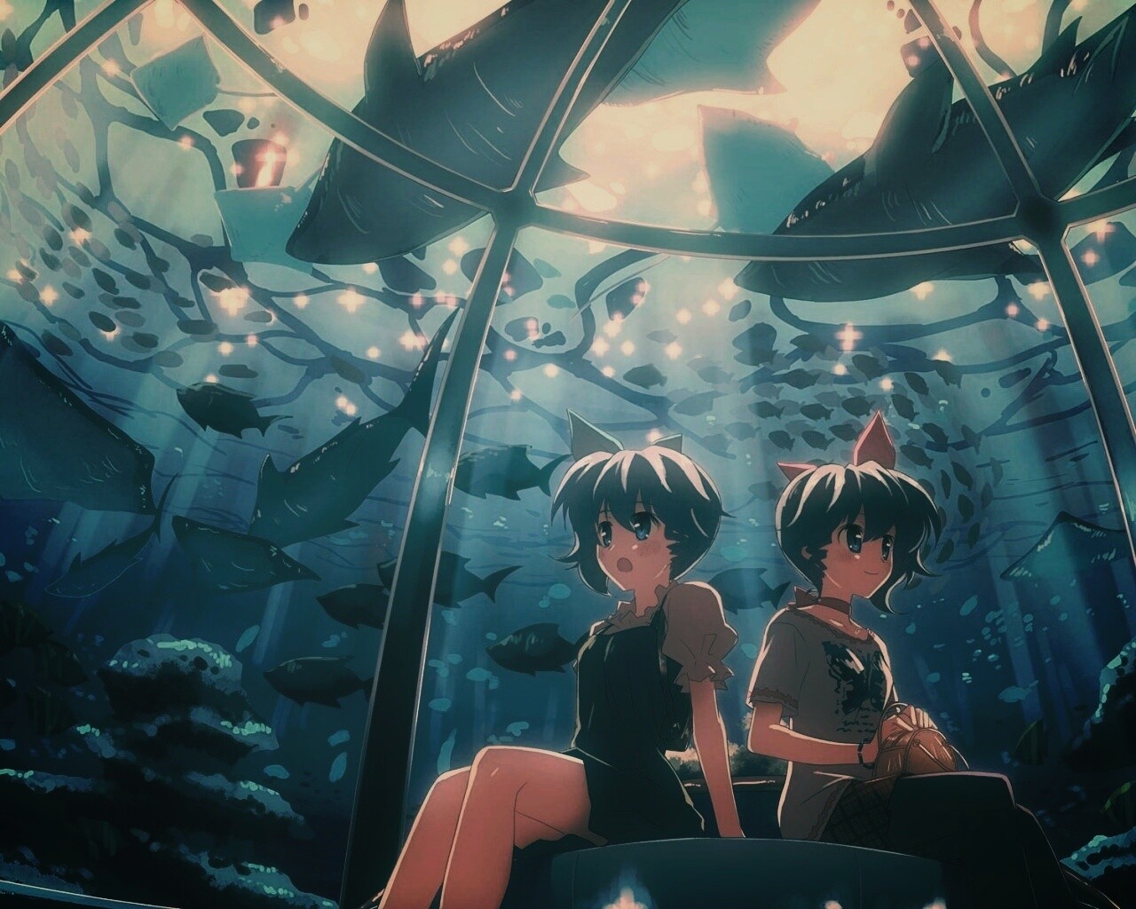 В океанариуме обои