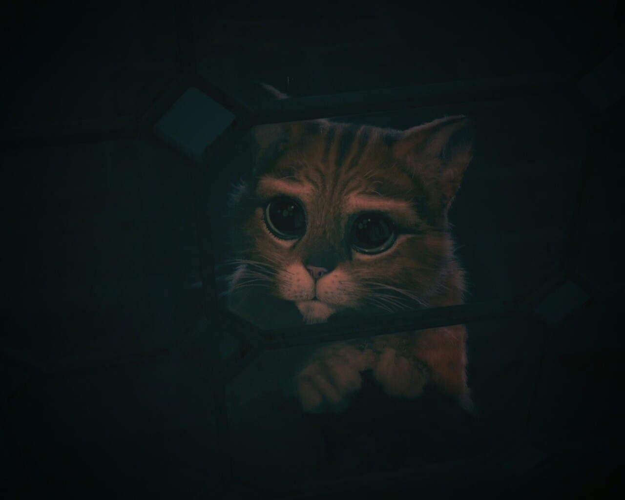 Кот в сапогах обои