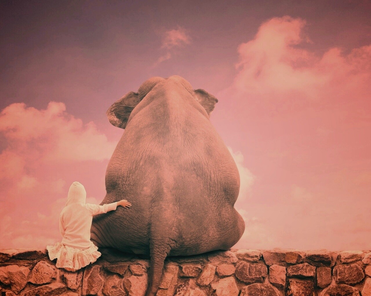 Девочка и слон обои