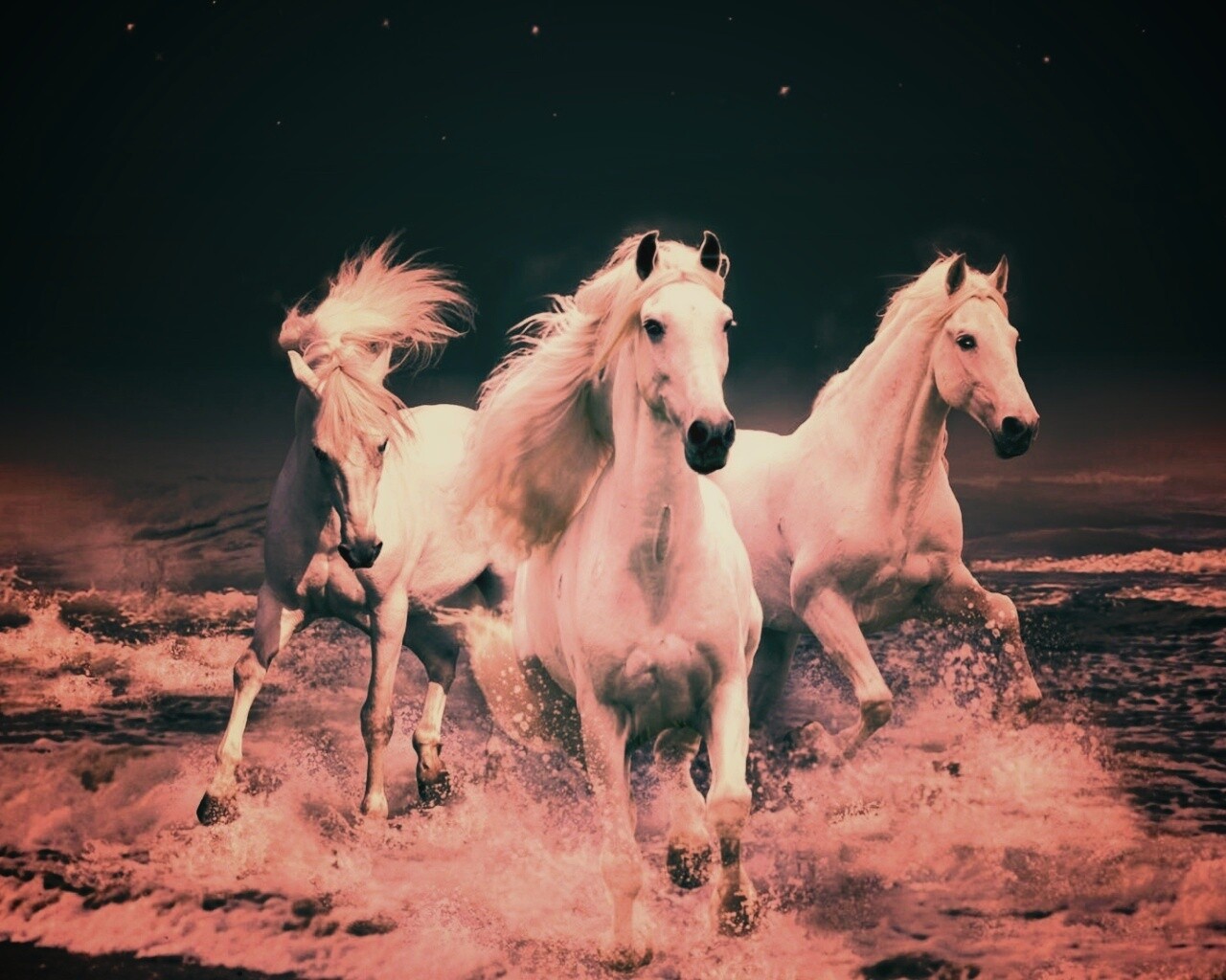 Тройка конец в море обои