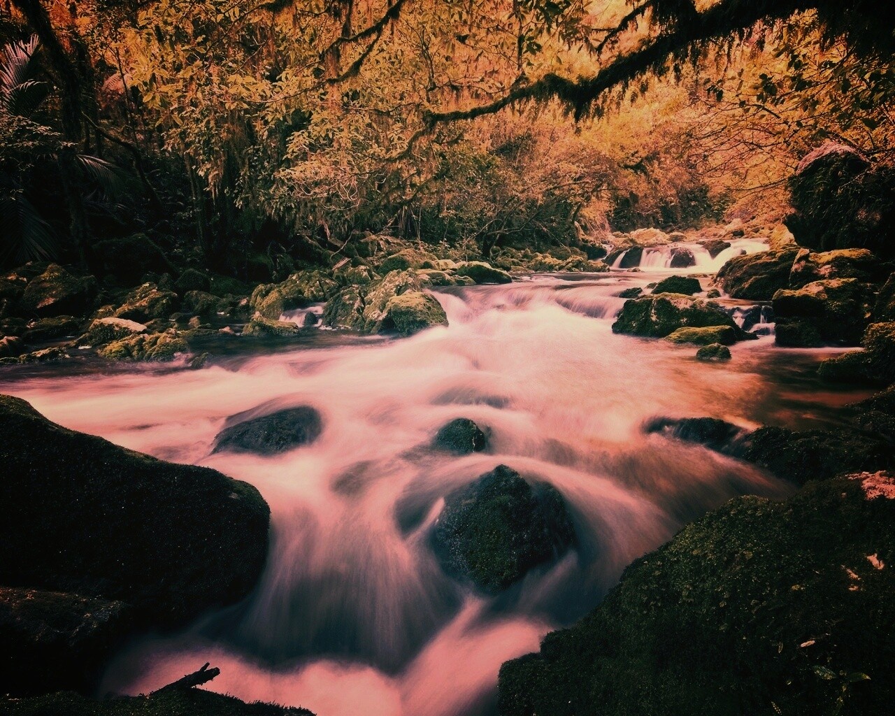 Лесной руче обои