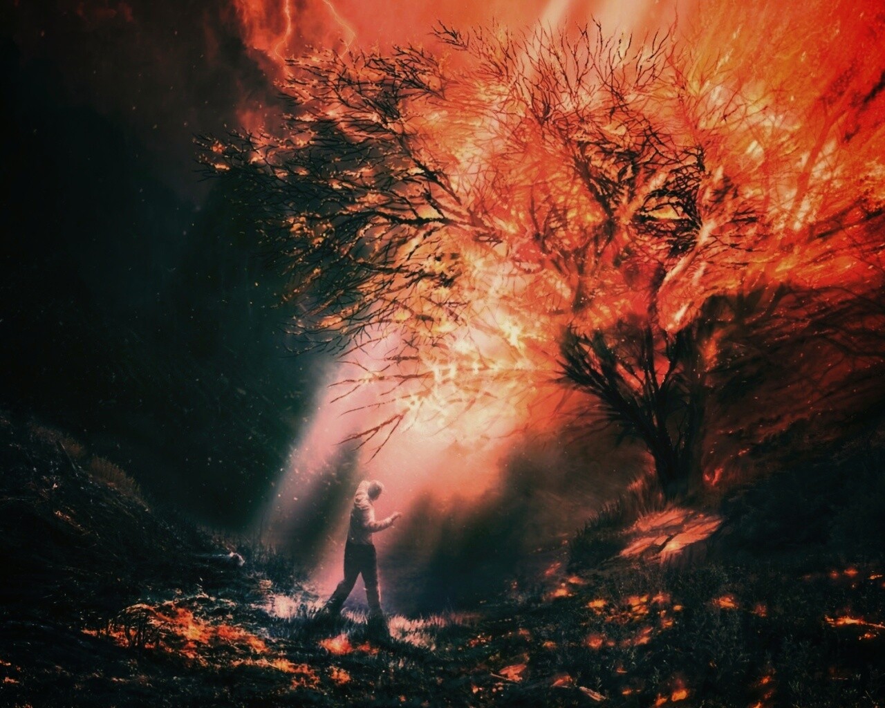 Горящее дерево обои