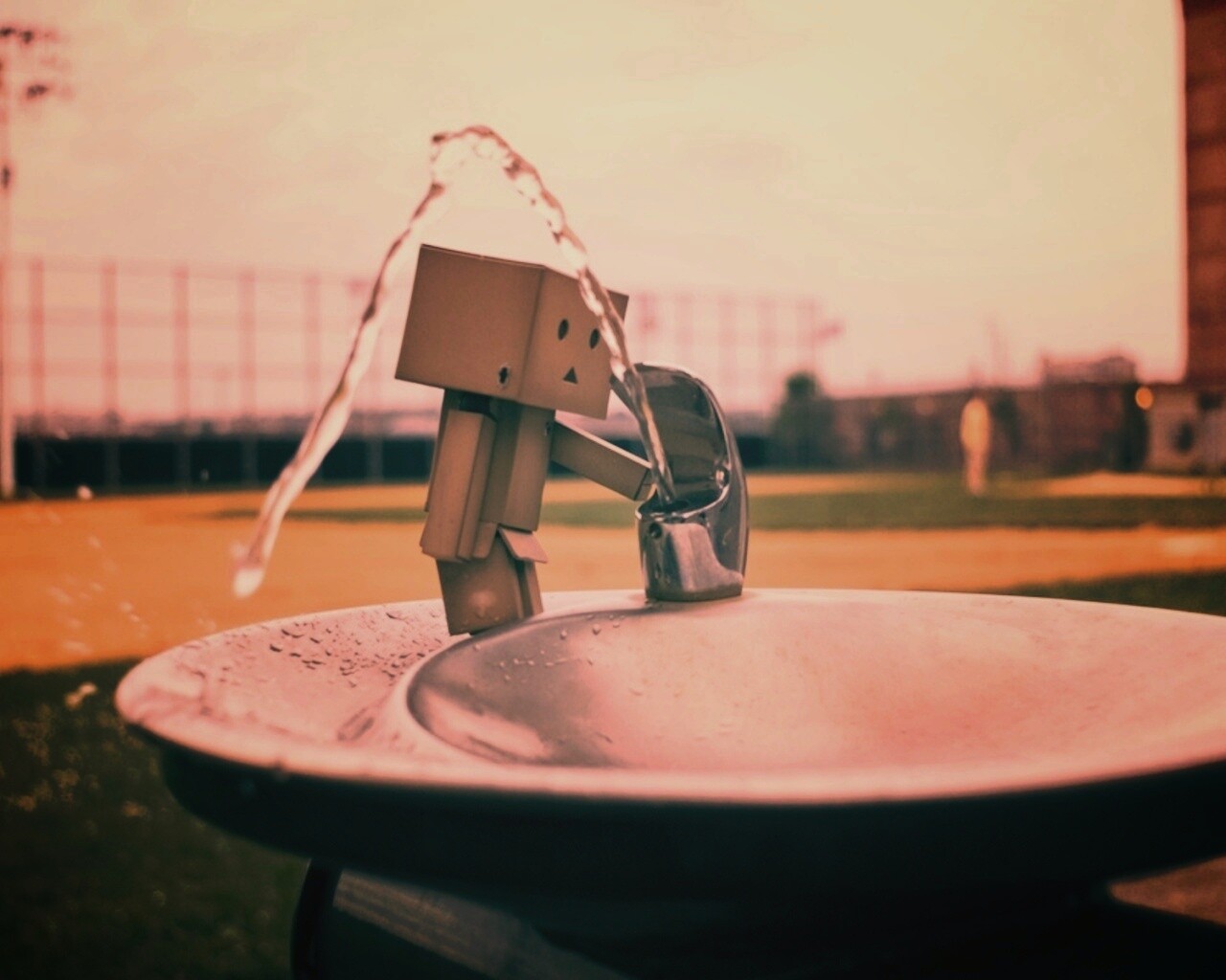 Дандо пьет в воду из фонтанчика обои