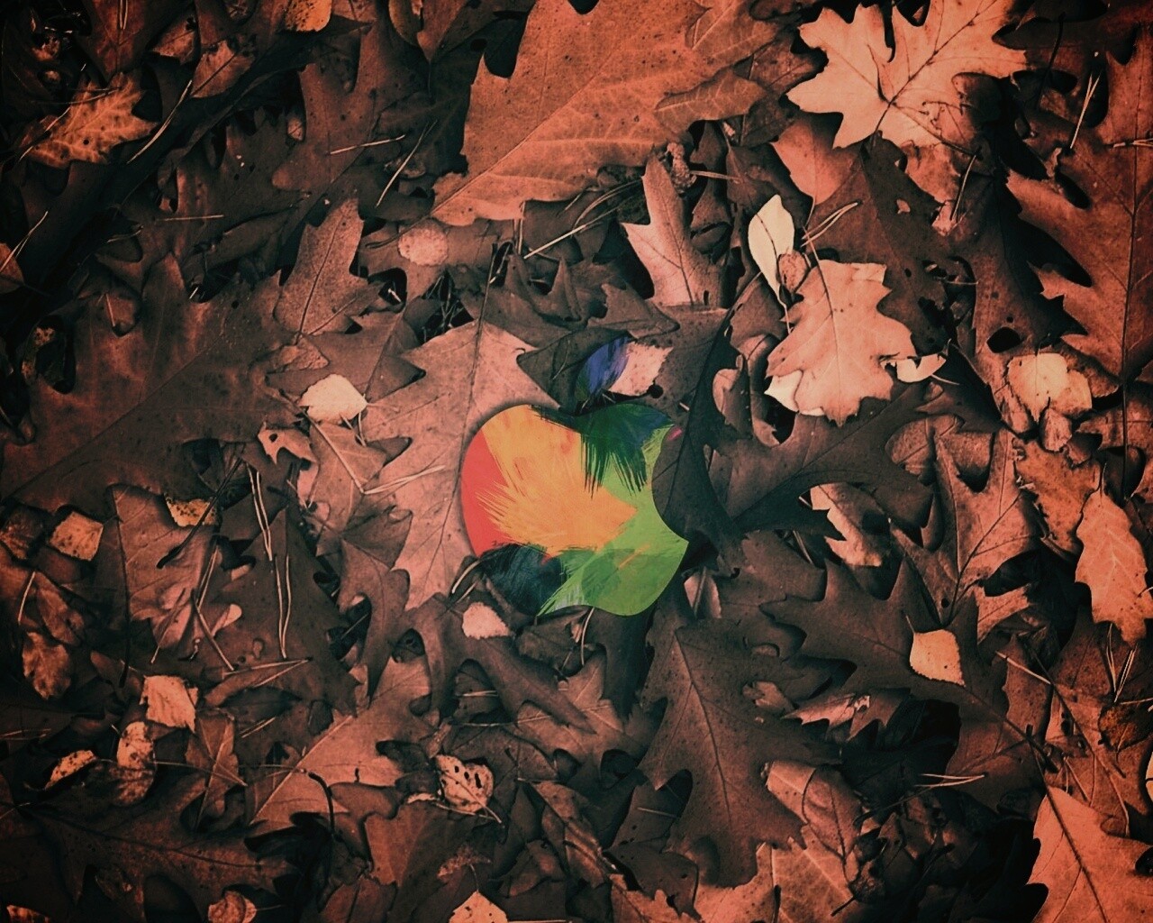 Эпл в сухой листве обои