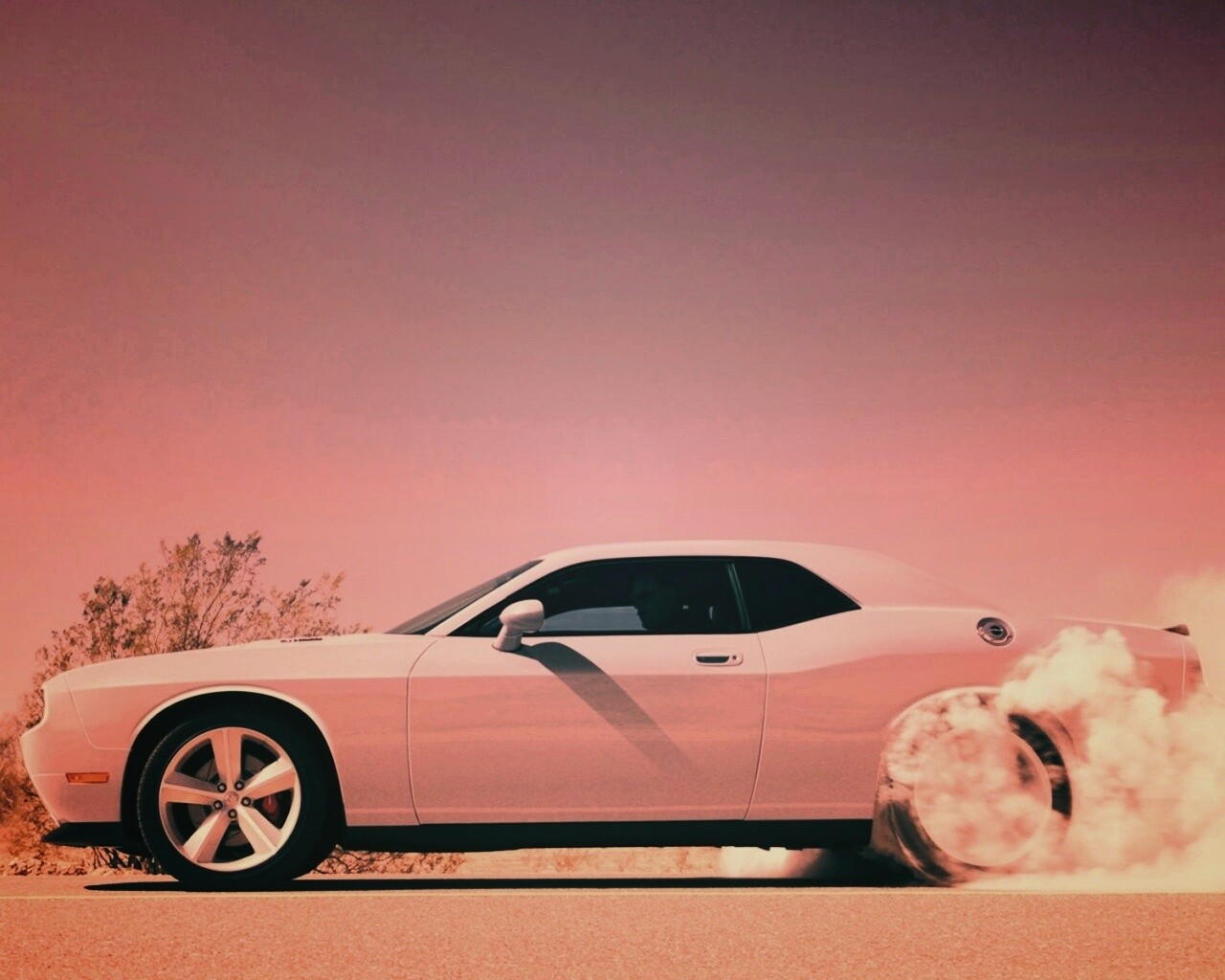 Стартующий Форд Мустанг обои