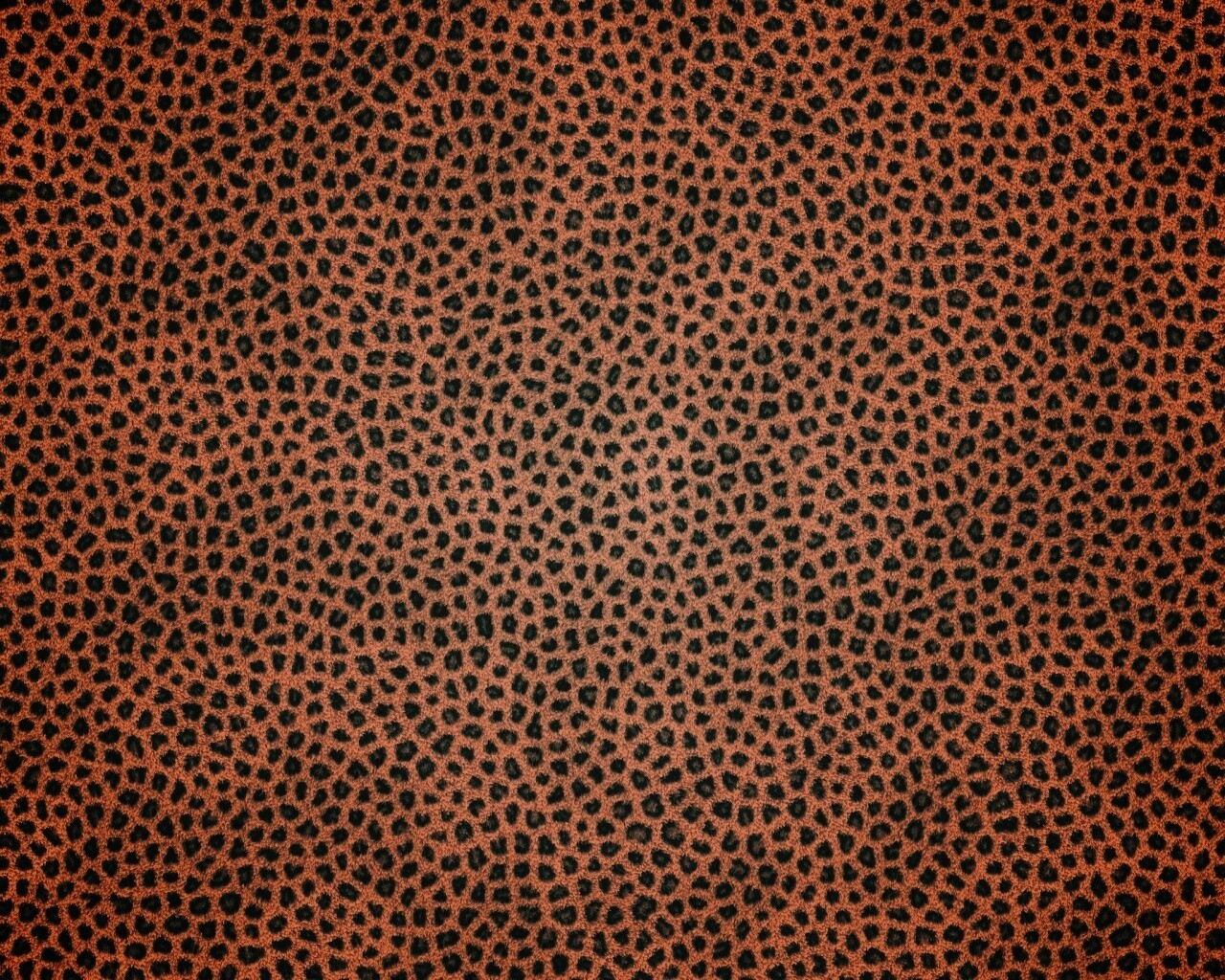 Пятнистая шкура обои