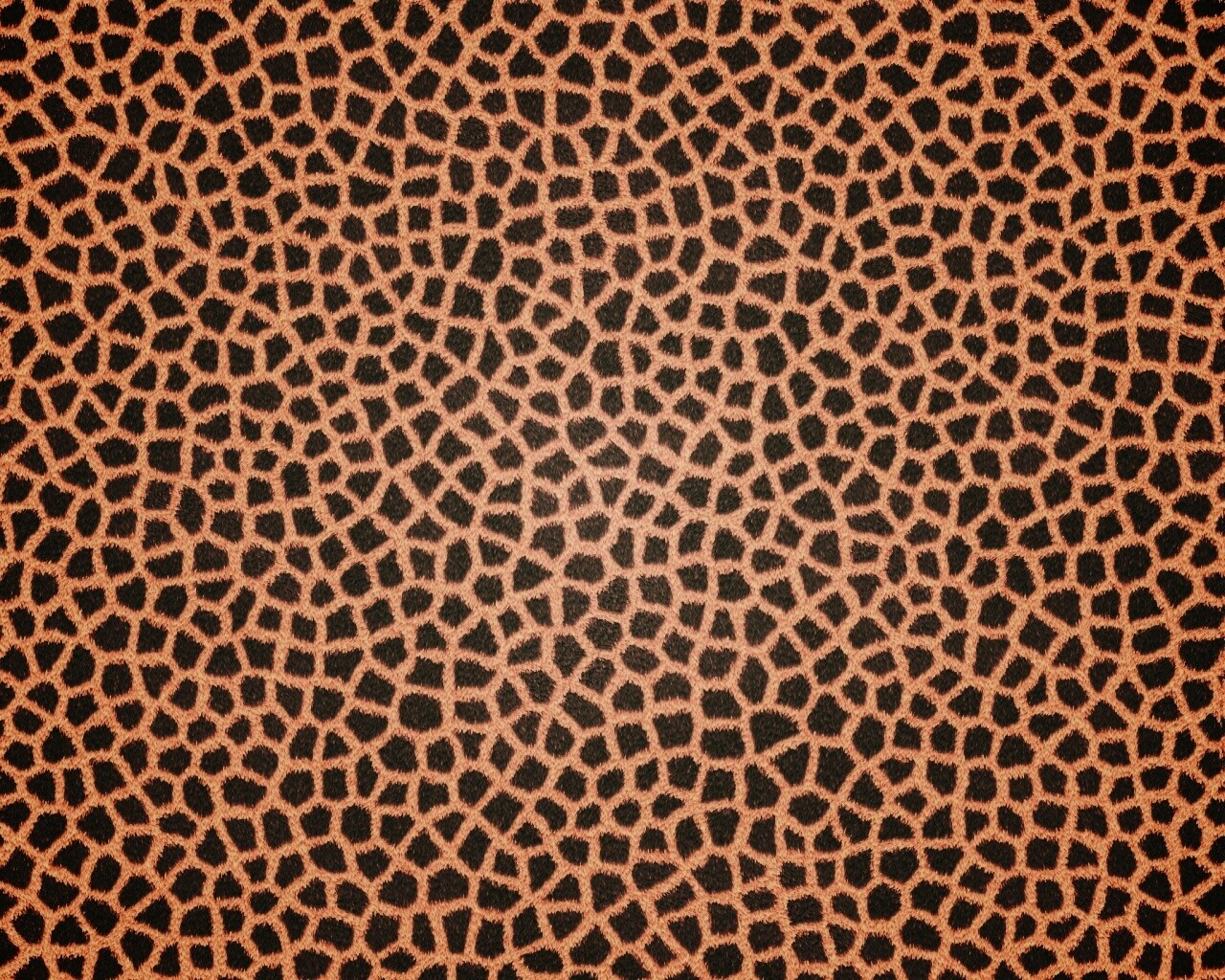 Текстура шкуры жирафа обои