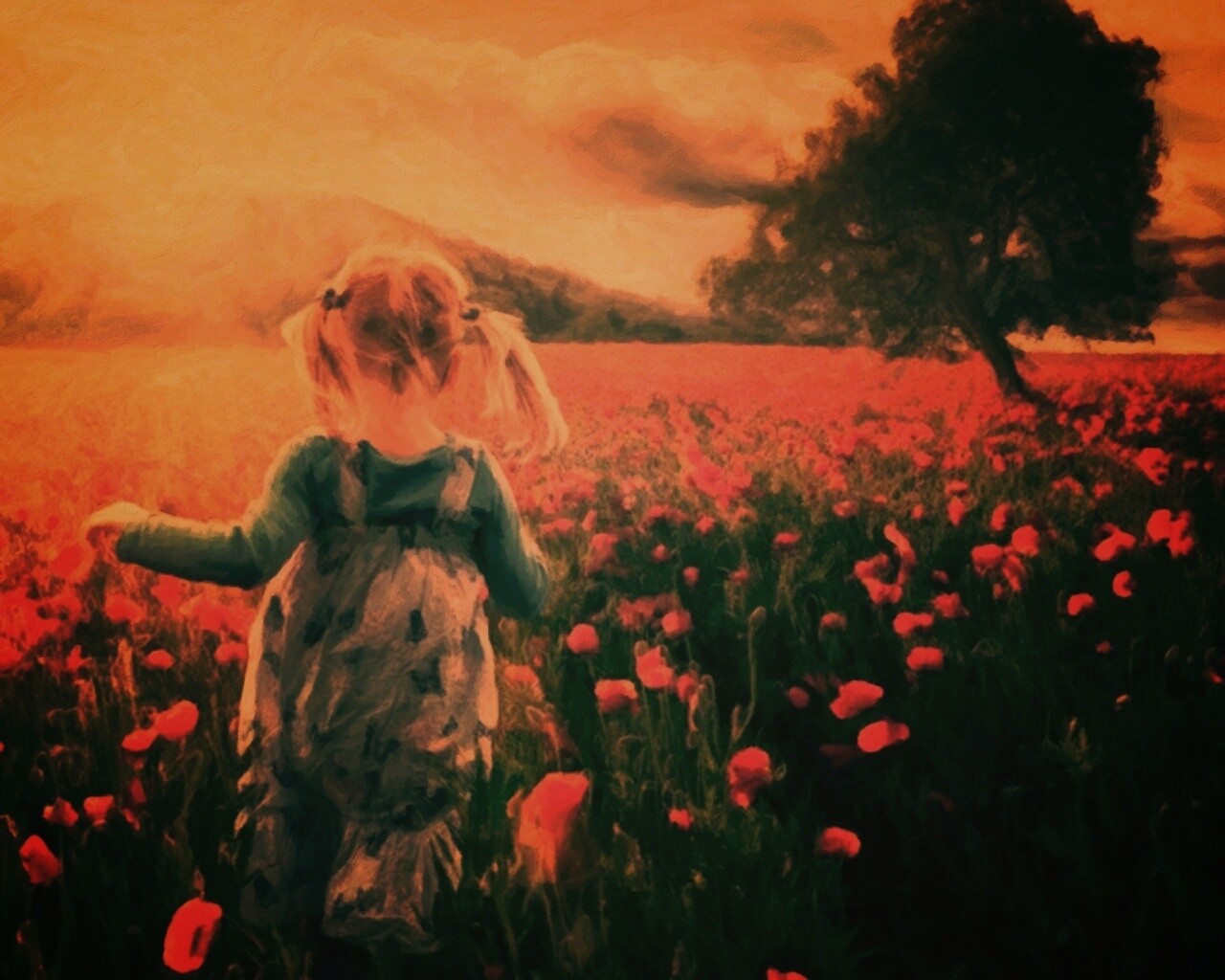 Девочка на маковом поле обои