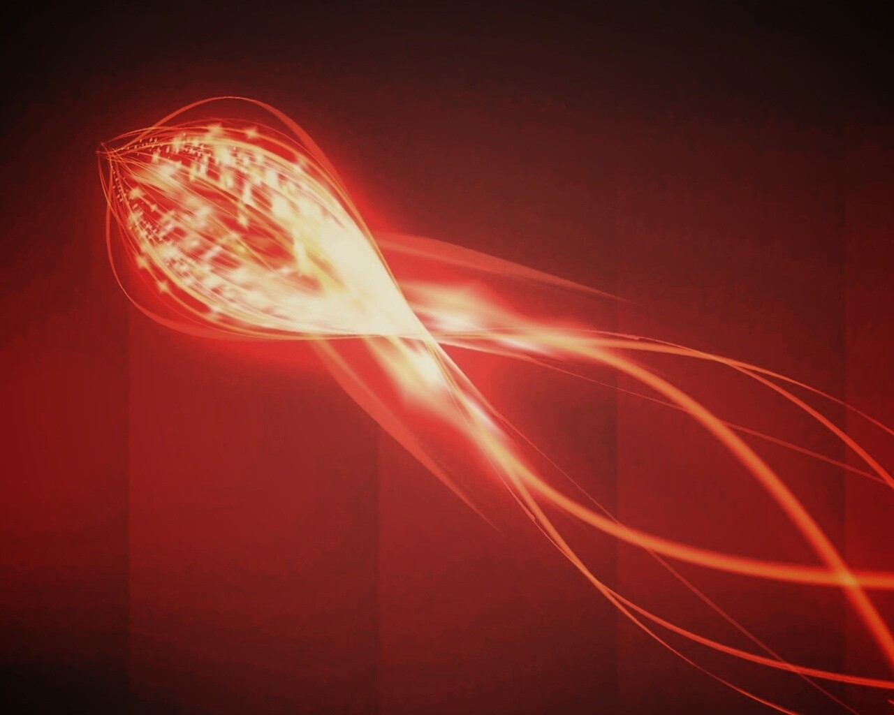 Сгусток красных линий обои