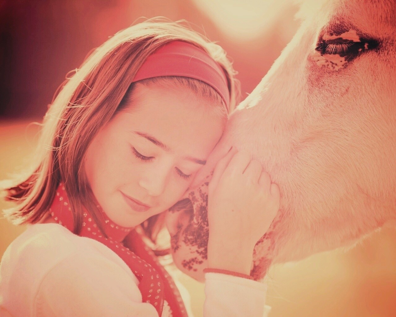Девочка и лошадь обои