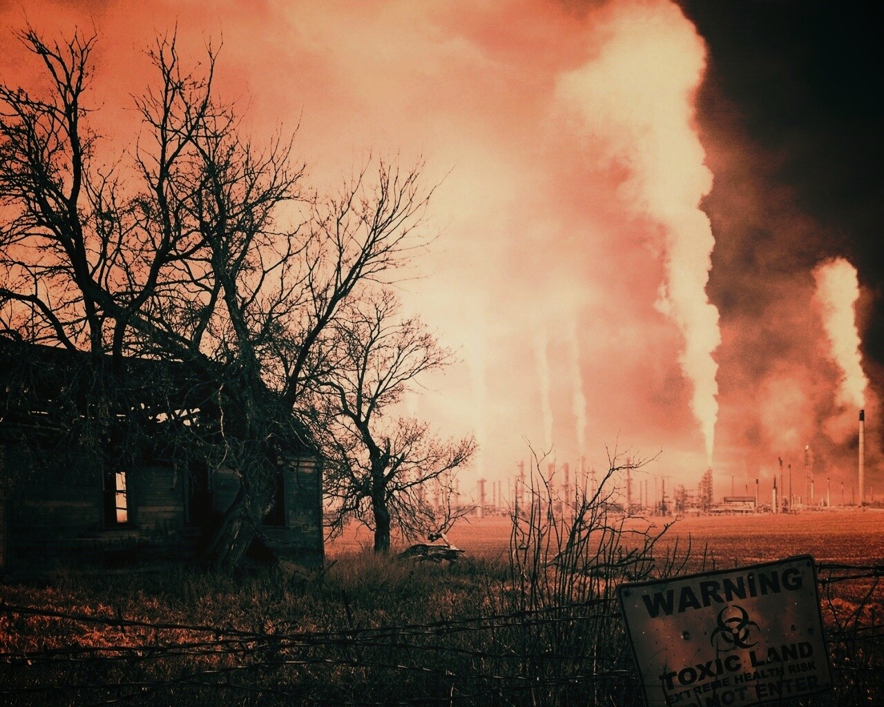 Токсичность обои