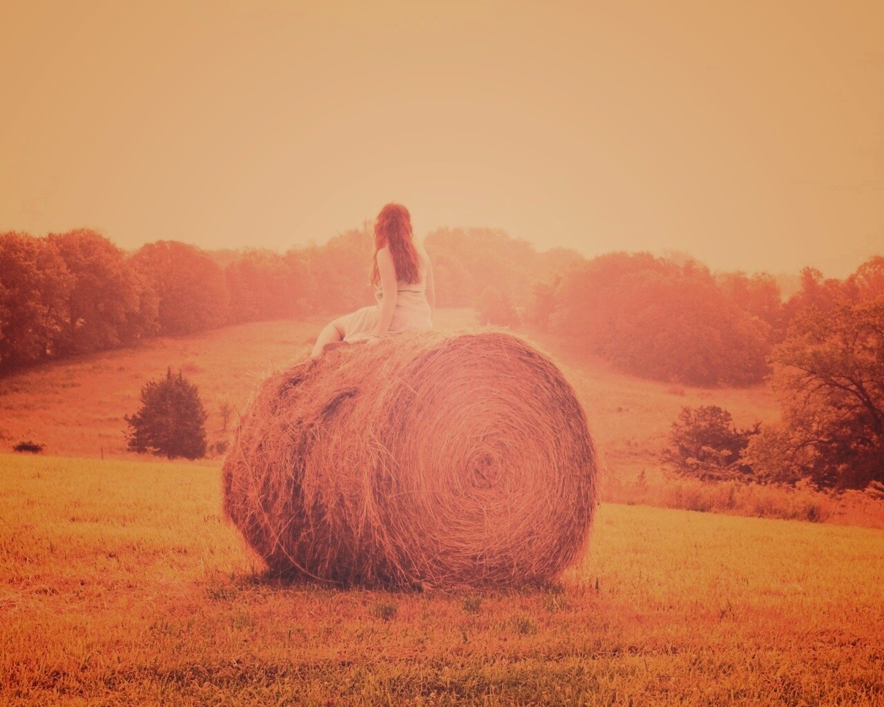 Девушка на снопе сена обои
