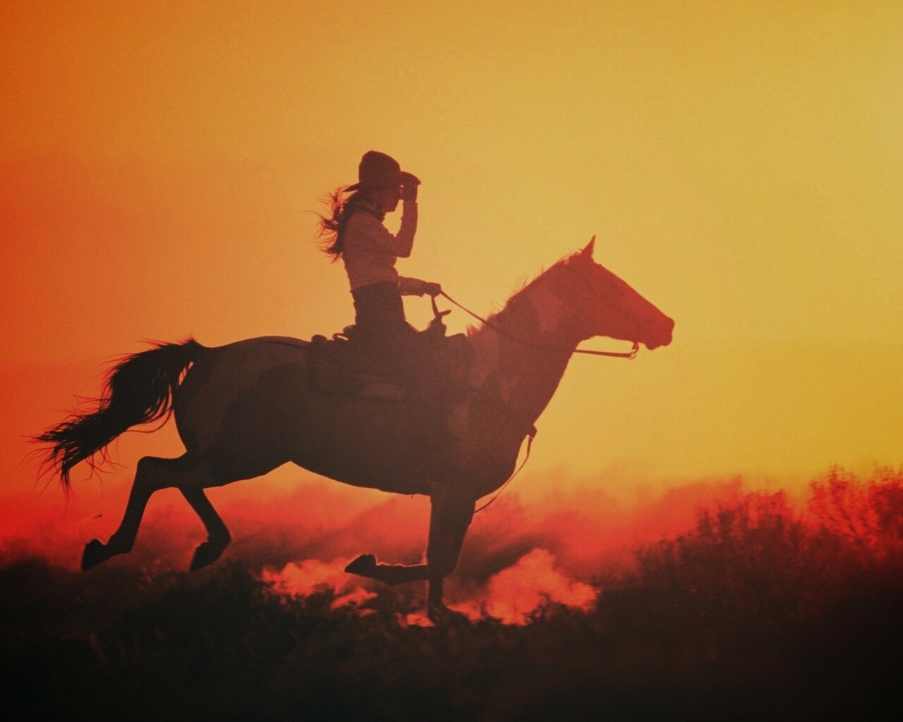 Наездница на закате обои