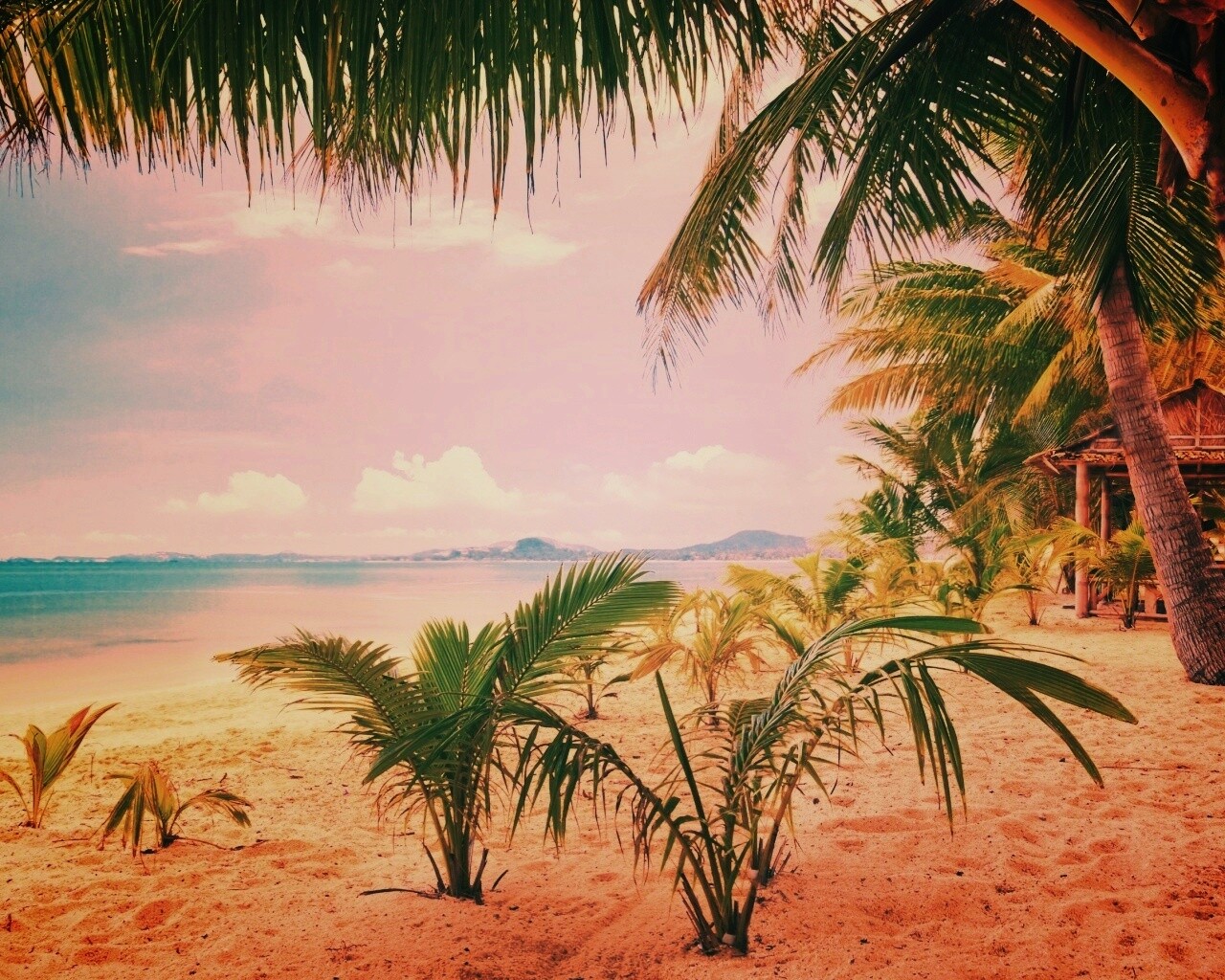 Настоящее лето обои