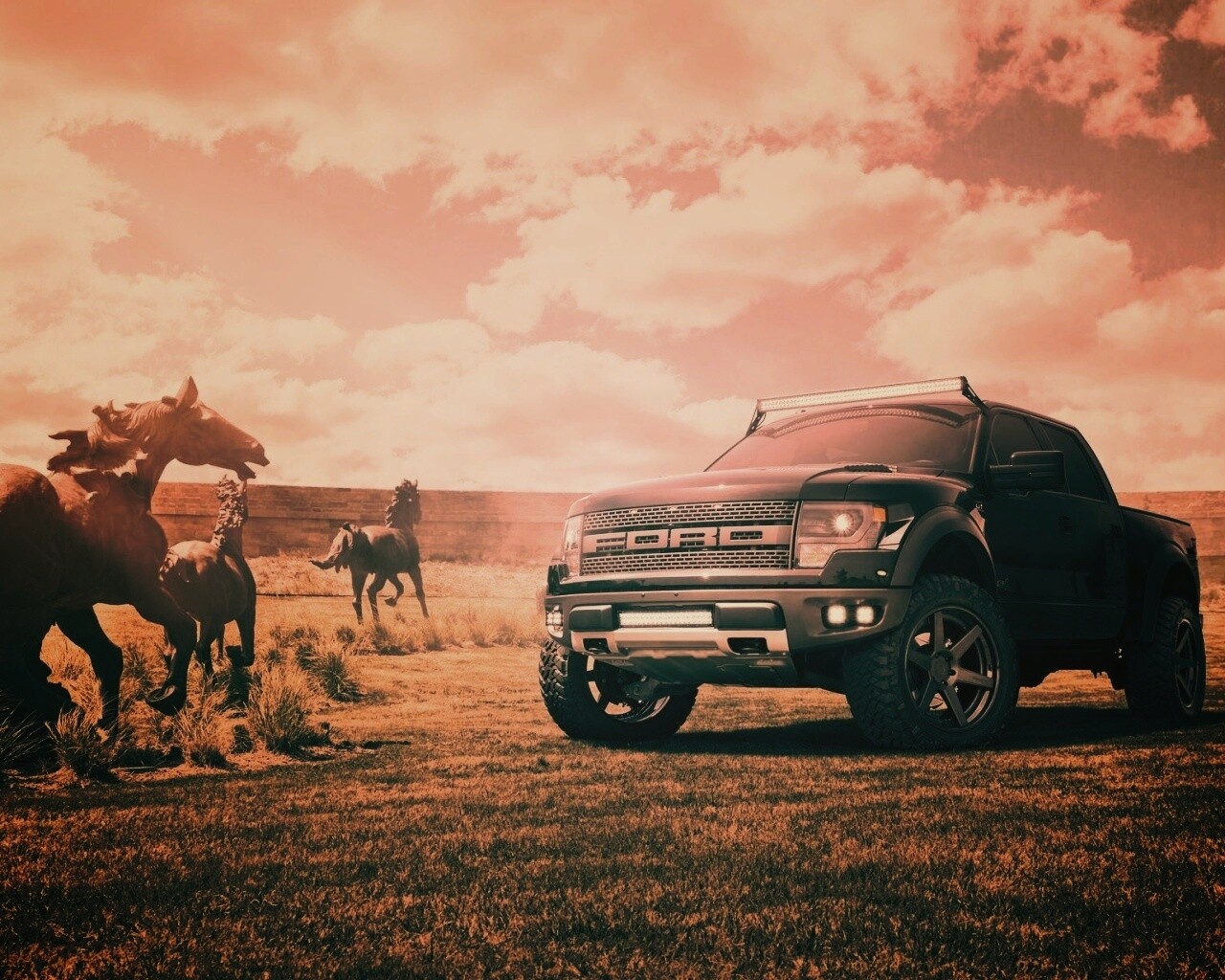 Ford F-150 Raptor обои