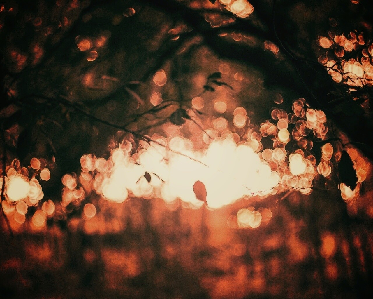 Размытый свет в парке обои