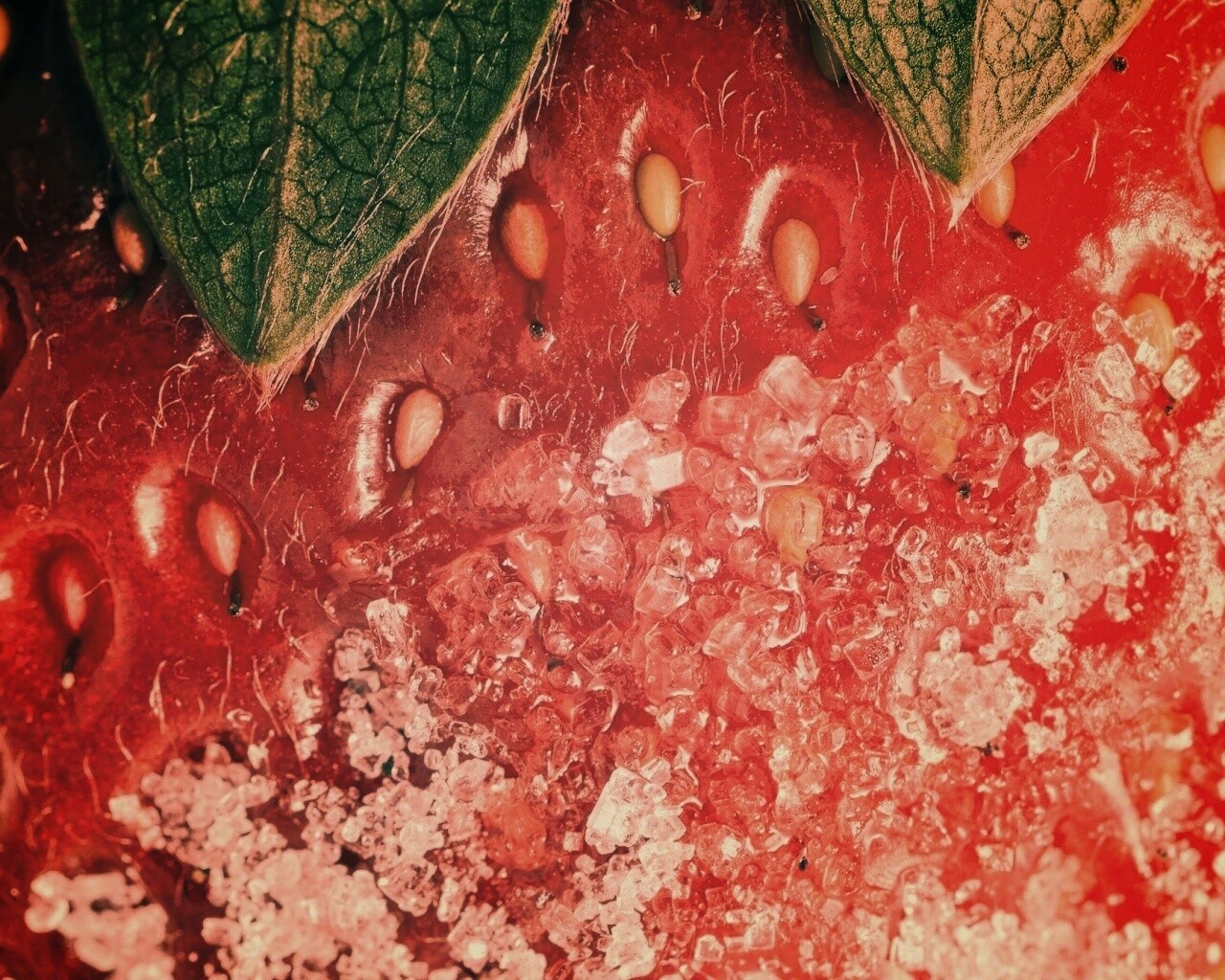 Клубника в сахаре обои