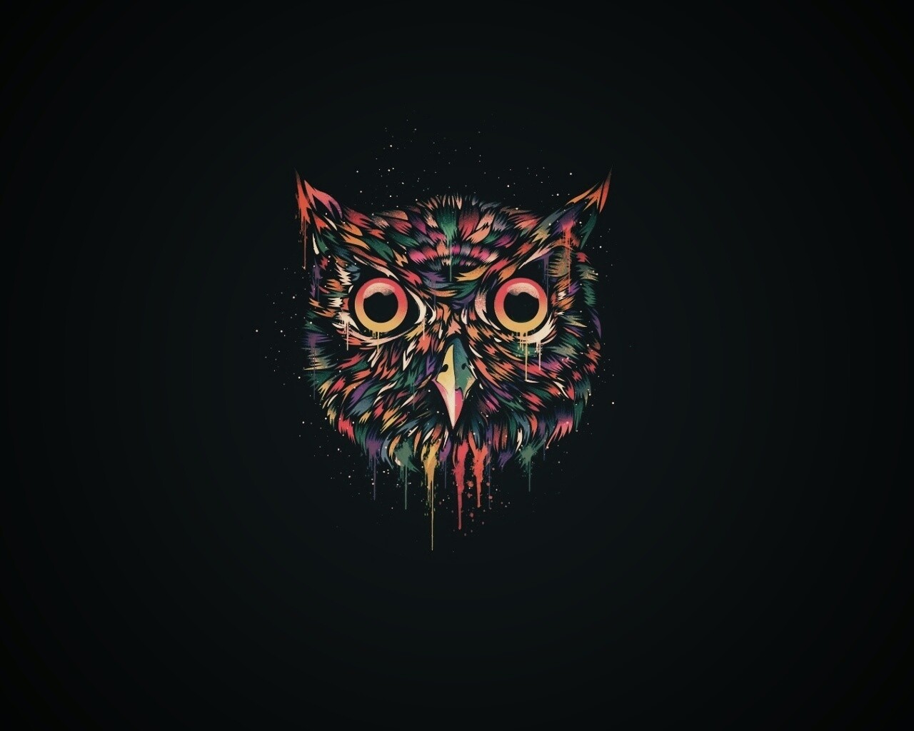 Векторная совиная голова обои