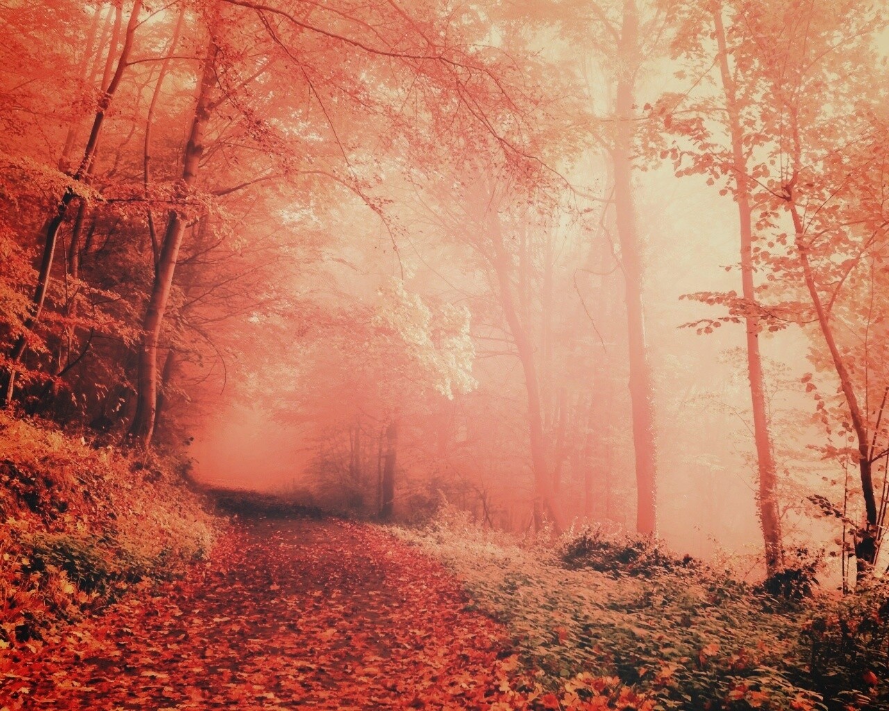 Осенний мистический пейзаж обои