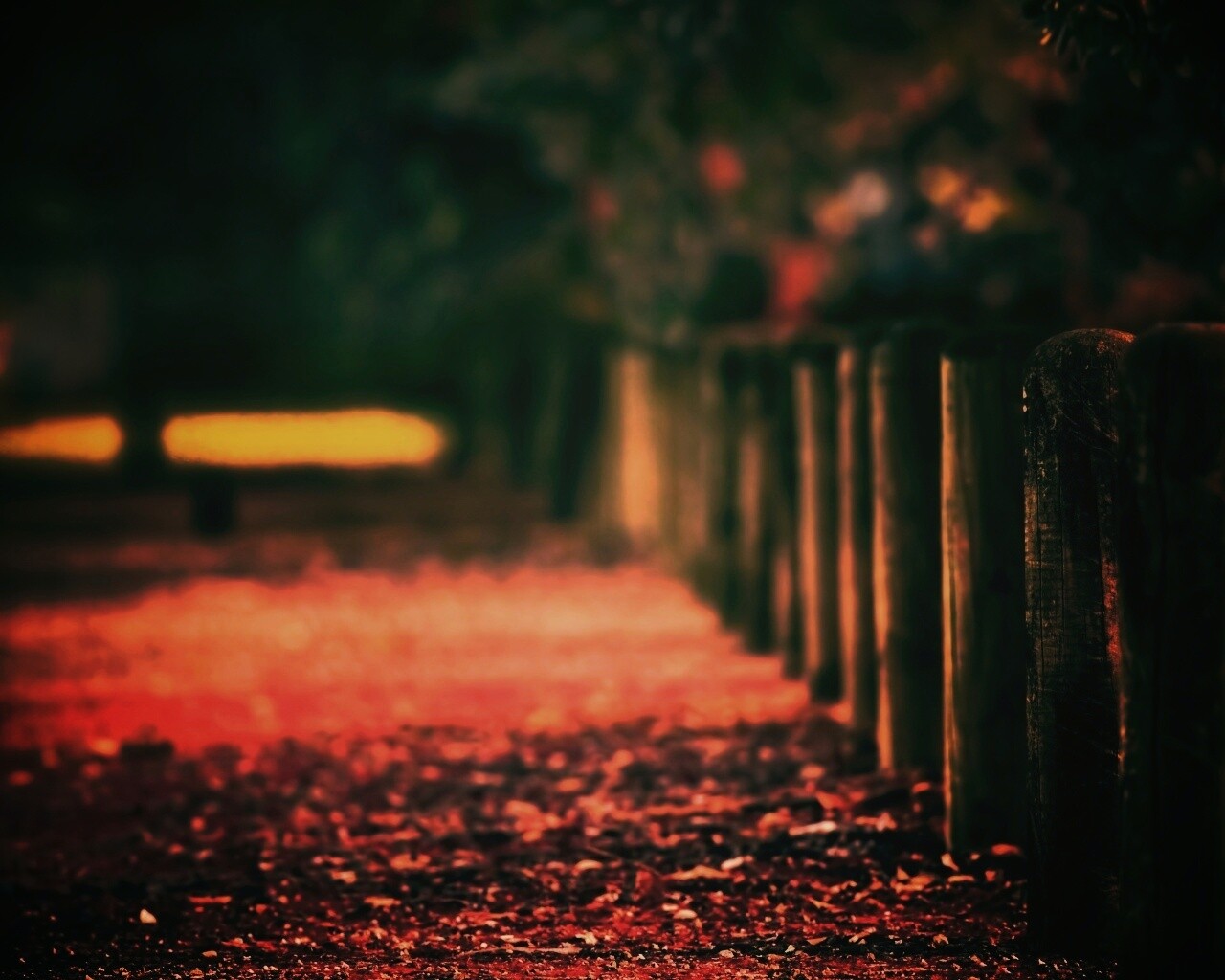 Аллея усеянная листвой обои