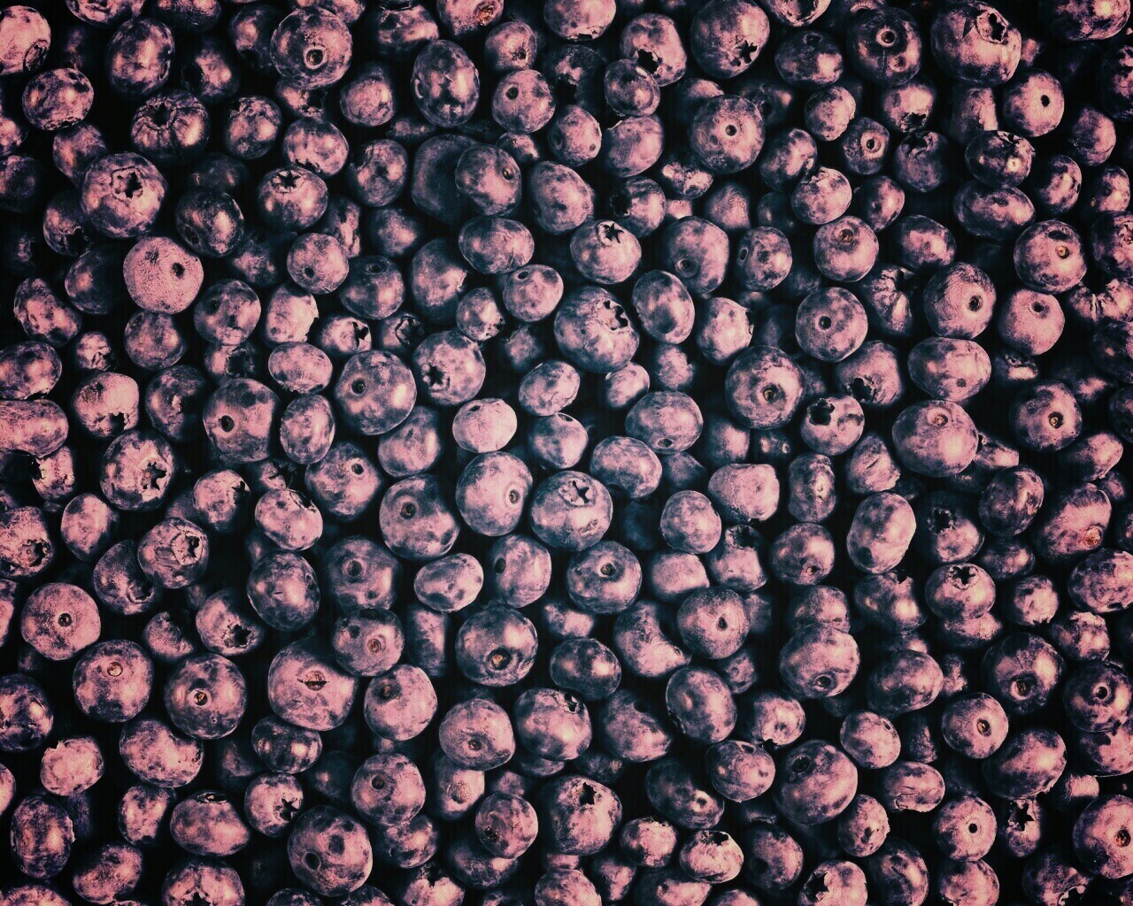 Черника обои