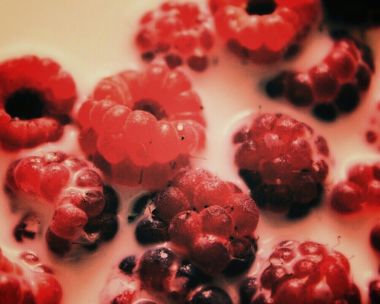 Малина в молоке обои