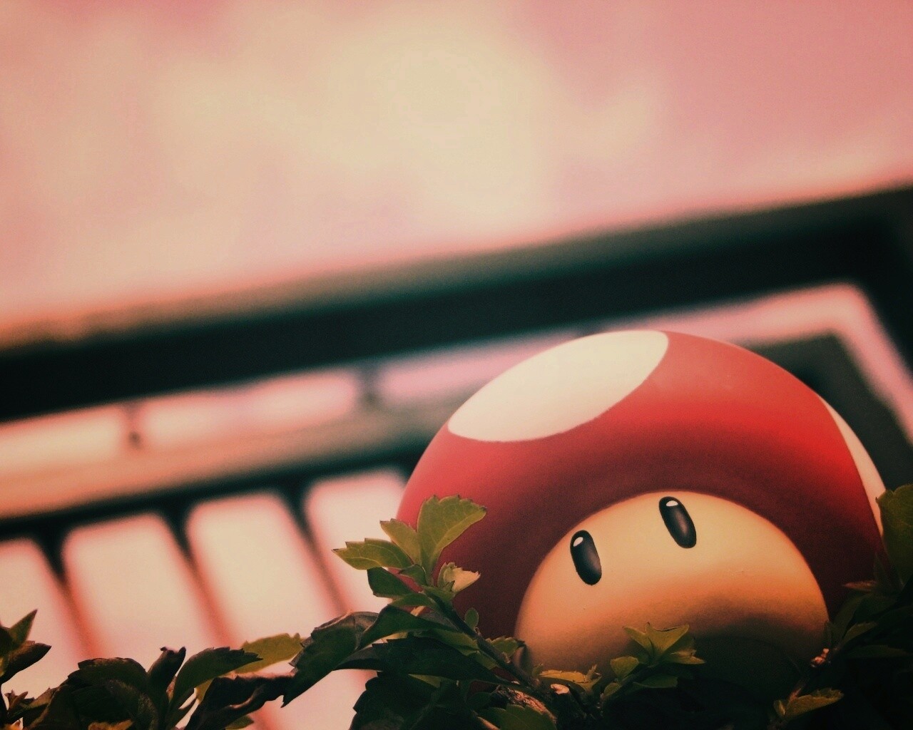 Гриб из Марио обои