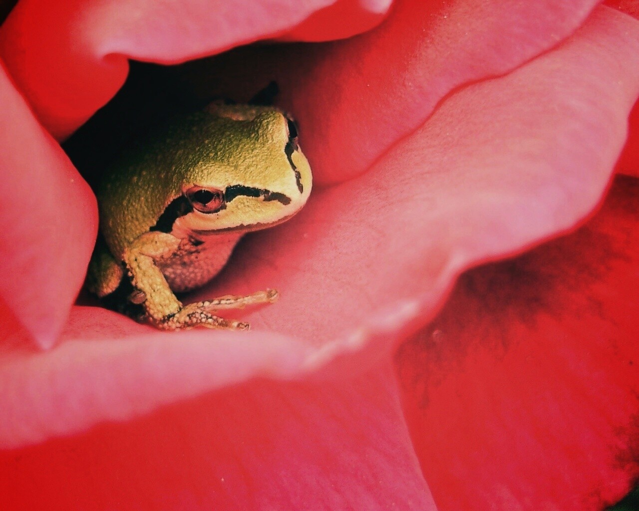 Куда это ты смотришь? обои