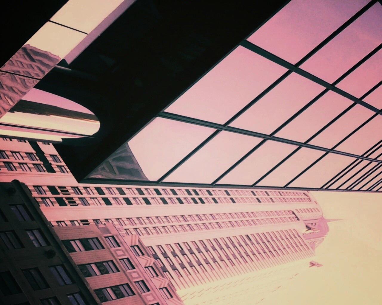 Взгляд вверх обои