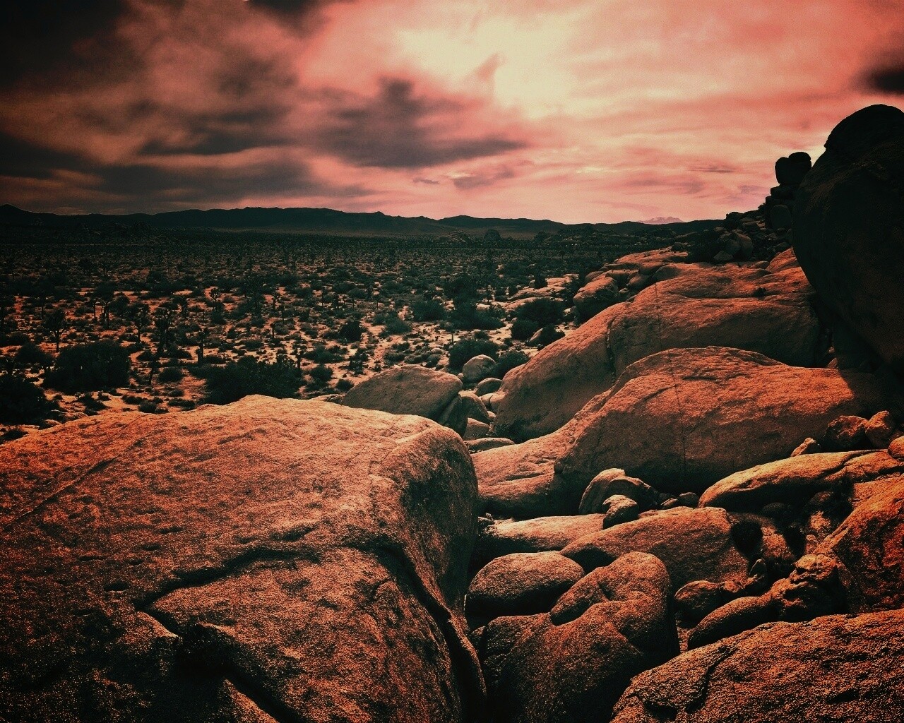 Пустыня Мохаве обои