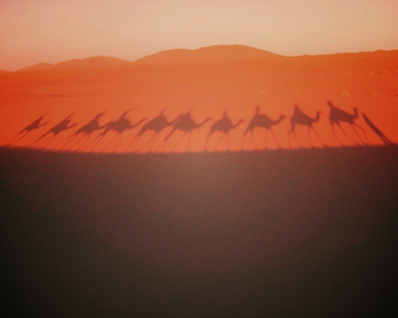 Караван обои