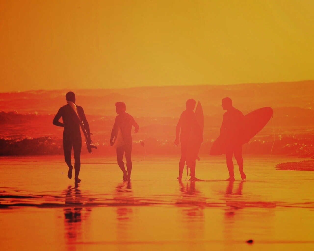 Серфингисты обои