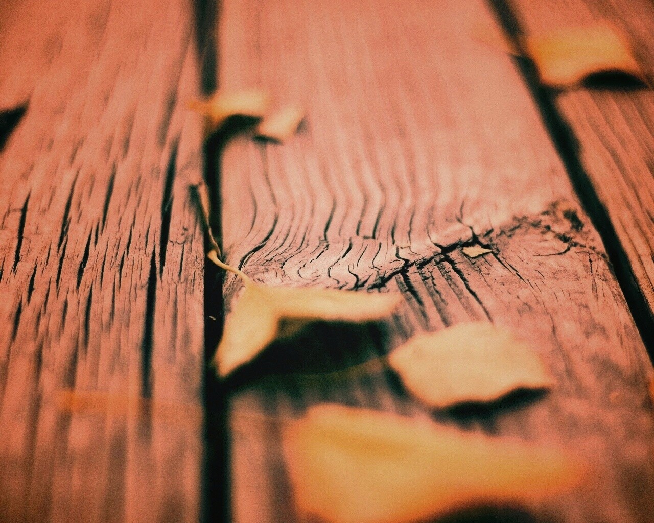 Листья на дощатом полу обои