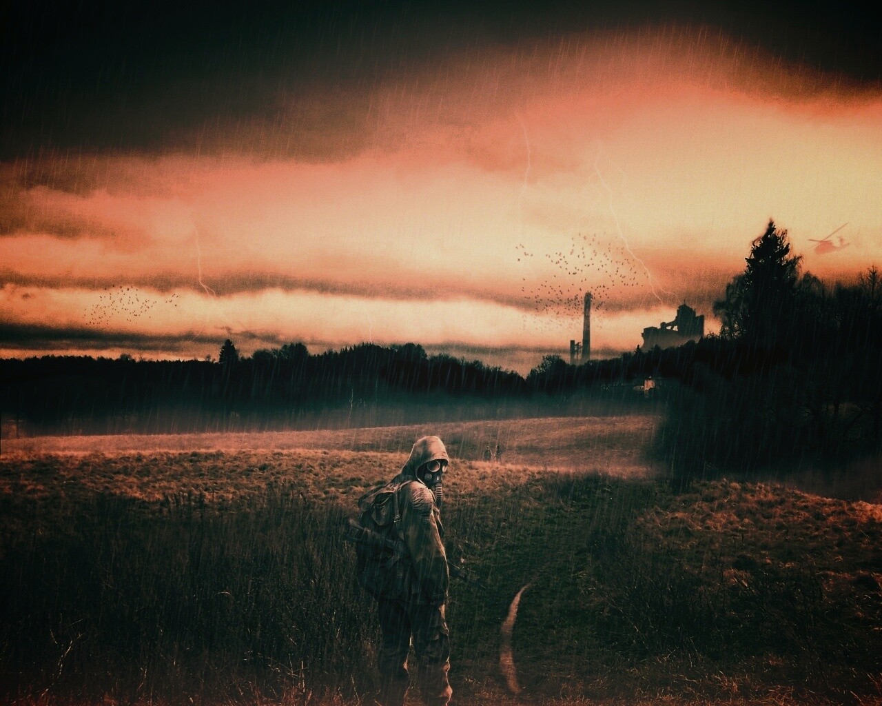 Сталкер под дождем обои
